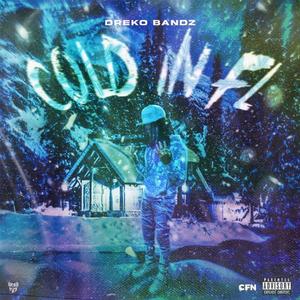Cold In FL (feat. BFA TEC) (Explicit)