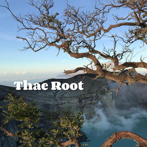 Thae Root