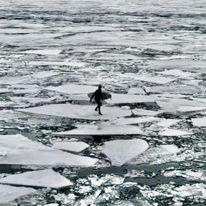 ICE SURFA (feat. Orion Miller) (Explicit)