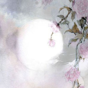 星空 (Inst.)