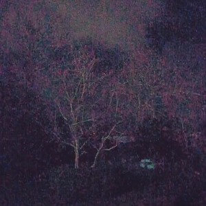 mario galaxy(feat. Ganxx) (Explicit)