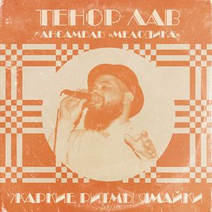 С Разбитым Сердцем: Discomix (Discomix)