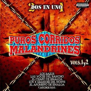 Puros Corridos Malandrines Vol. 1 y 2