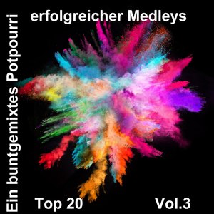 Top 20: Ein buntgemixtes Potpourri erfolgreicher Medleys, Vol. 3