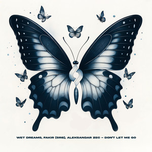 Don't Let Me Go (Radio Version)