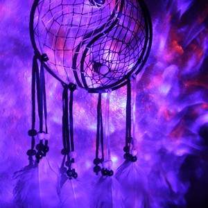 Wolf (feat. Omg, J Henny & Tragickk) (Explicit)