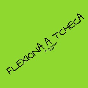 FLEXIONA  A  TCHECA (Explicit)