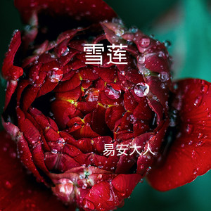 幽默小丑 (DJ版)