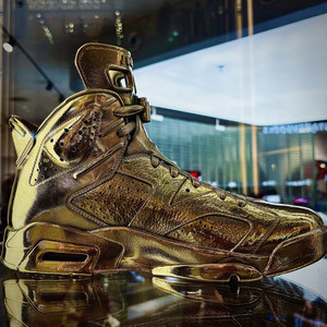 Jordan 6 G (Old) (Explicit)