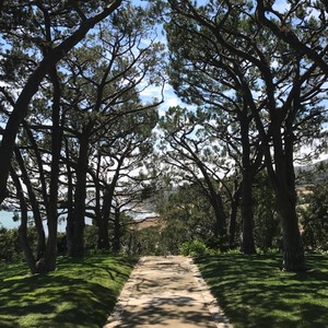 set up straight (Explicit)