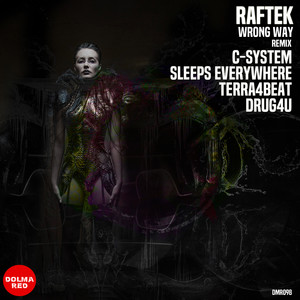 Wrong Way (Sleeps Everywhere Remix)