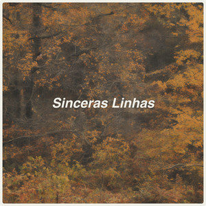 Sinceras Linhas