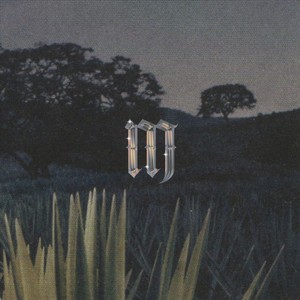 cRAsHOutS (feat. DAVID, Muñeca, char, NEWWAVE, Goon & cold rick) (Explicit)