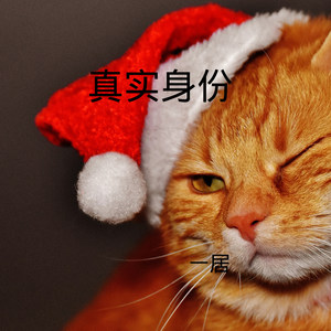 再见吧我最爱的你