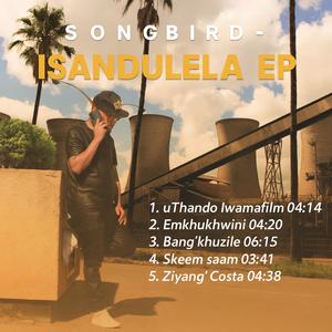 Emkhukhwini (feat. Stormza)