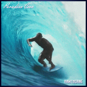 Paradise Cove (Radio Edit)