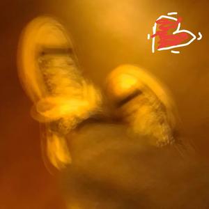 tied in knots (feat. kylemilly!)