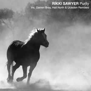 Purity (Darren Bray Remix)