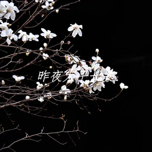 天龙八部之宿敌 (人声弱化版)