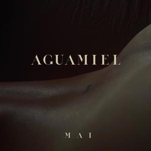 AGUAMIEL