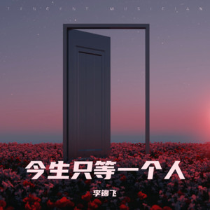 今生只等一个人