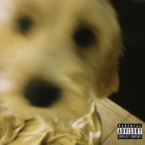 FALLINGINLOVEWITHYOU (Explicit)