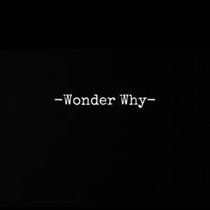 Wonder Why (Explicit)