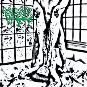 The Ancient Stupid Operation