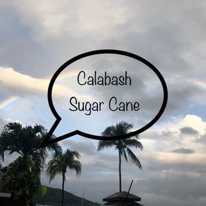 Sugar Cane