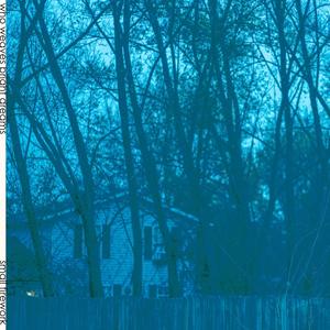 A Midwinter's Refrain II