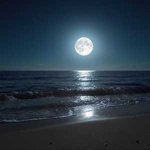 Moonlight