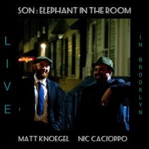 SON: Elephant in the Room (Live in Brooklyn)