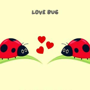 Love Bug