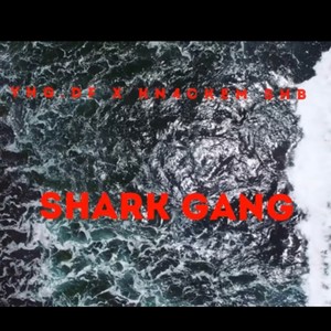 Shark Gang (feat. Kn4ckem SHB) [Explicit]