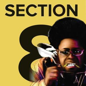 Section 8 (Explicit)