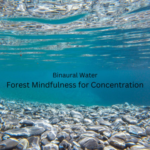 Binauralidades - Woodland Stream Concentration