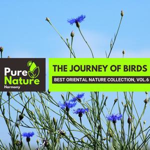 The Journey of Birds - Best Oriental Nature Collection, Vol.6