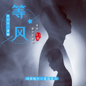 等风等雨都不及等你 (DJ版)