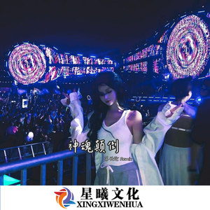 潮牌电音 (DJ版)