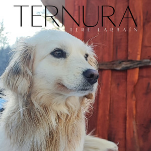 Ternura