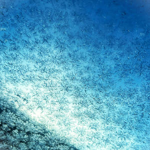 Dishonest (Explicit)