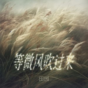 等微风吹过来 (DJ九零版)