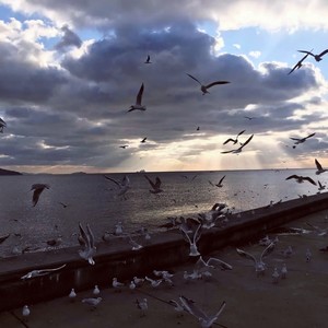 做人识相点不要等着地球转 (DJ版)