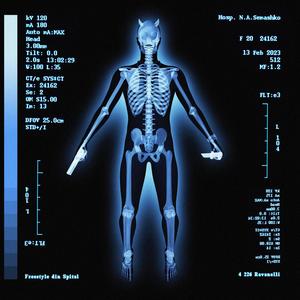 Freestyle Din Spital (Explicit)