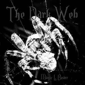 The Dark Web