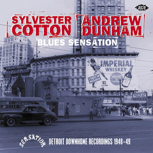 Blues Sensation: Detroit Down Home Recordings 1948-49