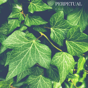 Perpetual