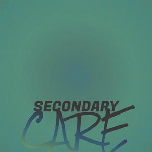 Secondary Care