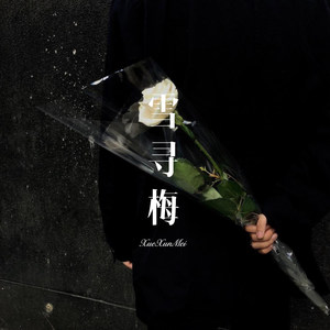 日常爱你 (Remix)封面