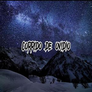 Corrido de Ovidio (feat. Grupo FG)